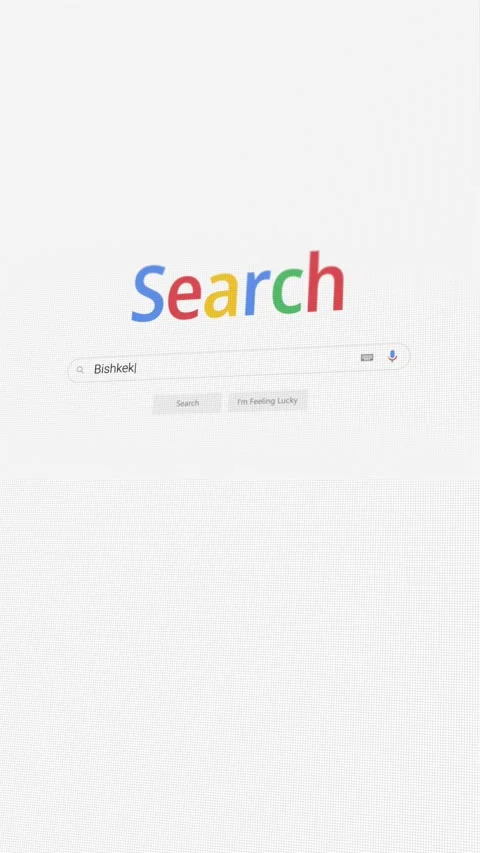 Vertical video of searching for Bishkek on Internet browser Stock Footage 301295853