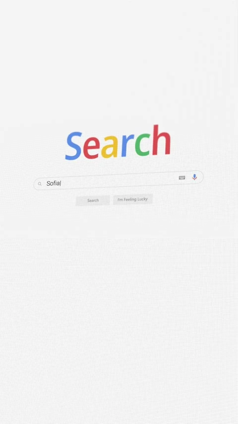 Vertical video of searching for Sofia on Internet browser Stock Footage 301295238