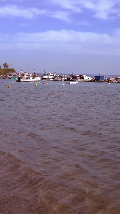 Vertical video, Seaside and waves Vidéo 296102963