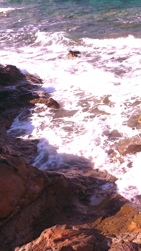 Vertical video, Seaside Stock Footage 290400221