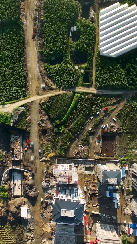 Vertical Video: Seaside Success - Finalizing Business Property Construction by Stock Footage 243825304