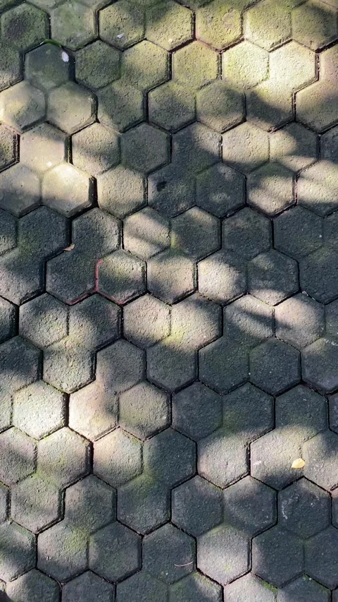 Vertical video of Shadow and light of leaves Stock Footage 302160771