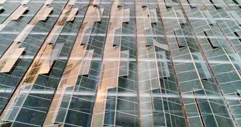 Vertical video: Shifting glare sliding across glass panes with mullions from Stock Footage 331165517