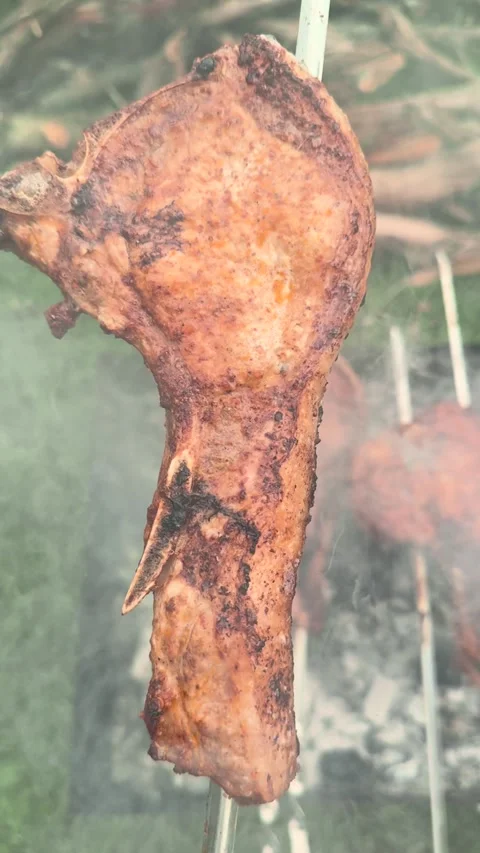 Vertical video showcasing a grilled kebab leg Stock Footage 274932153