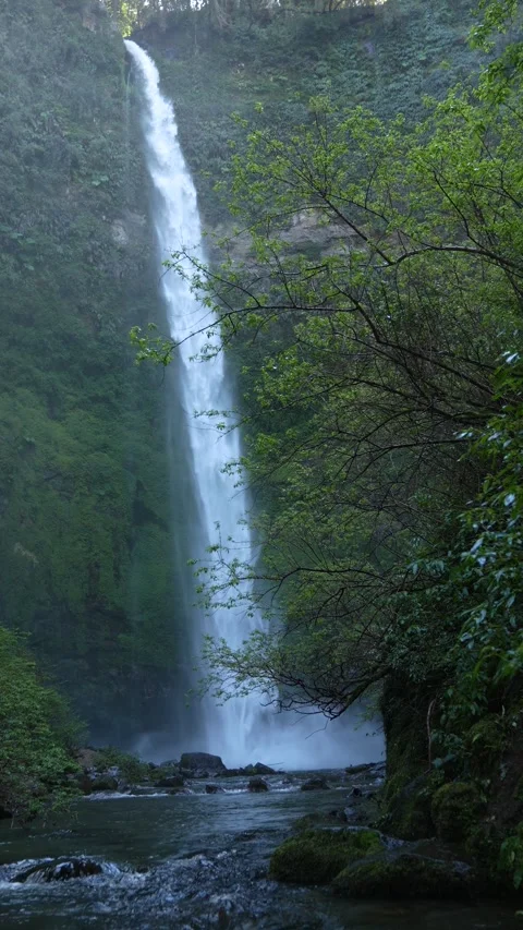 Vertical video showing the beautiful waterfall Salto el Claro in slowmotion.. Stock Footage 290010271