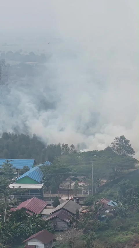 A vertical video shows a forest fire near residential areas and schools, ge.. Video stock 347112833