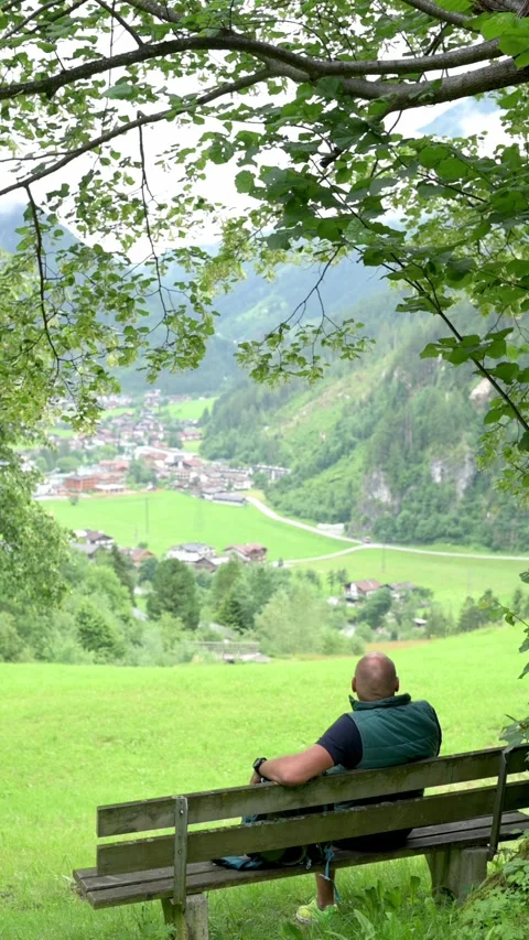 A vertical video shows a man sitting on a bench under a tree, enjoying a Stock Footage 282149605