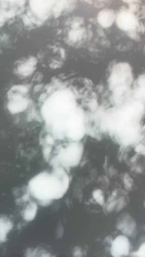 Vertical video shows pattern of leaf shadows dancing on wall Stock Footage 271070335