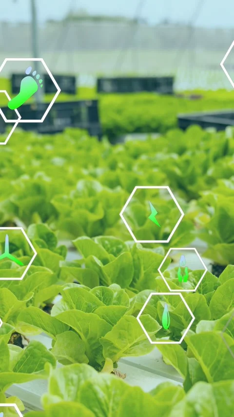 Vertical video: Signal starting hex icons fading, sliding in, showing eco data Stock Footage 334705102