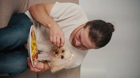 Vertical Video. Simple Joys, Pet Companionship. Man and Dog Relax on Sofa Eating Stock Footage 311552858