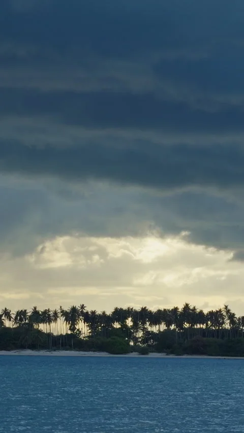 Vertical video. Slow Motion View of Tropical Palm Trees Beneath Dark Storm Cloud Stock Footage 338188153