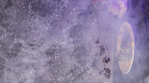Vertical video. Slow motion zucchini dishes laid out in a plate with smoke Stock Footage 153242211
