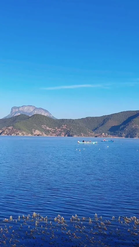 Vertical Video of Small Boat Rowing on Deep Blue Lake with Rime Ice Trees Stock Footage 328390425