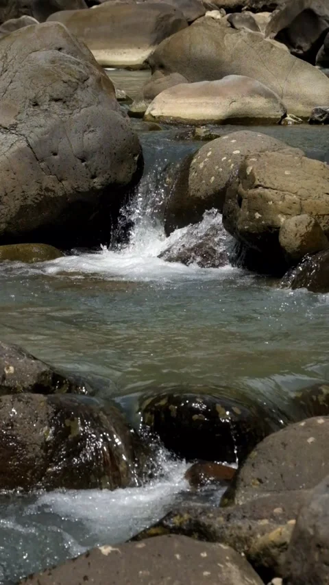 Vertical video of a small river flowing quietly between rocks Stock Footage 336877461