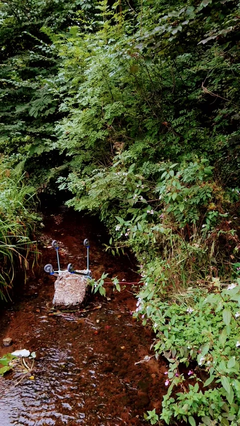 Vertical Video. Small stream with a shopping cart dumped in it. Video stock 160076977