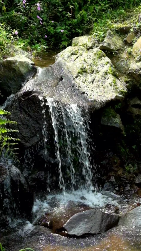 Vertical video of a small waterfall flowing in the mountains Stock Footage 320104680