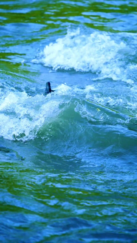 Vertical video of small whitewater river waves Stock Footage 336318368