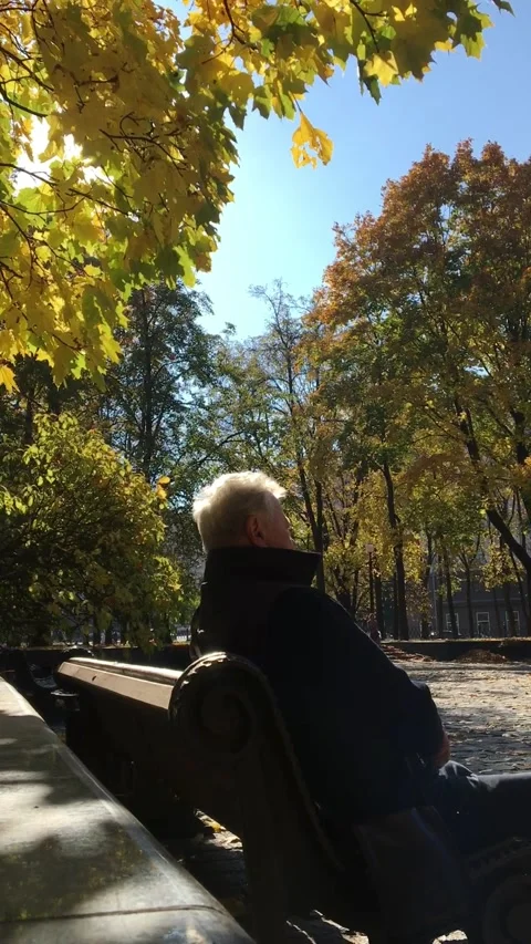Vertical video from a smartphone. The gray-haired man sits in the park  Stock Footage 162498120