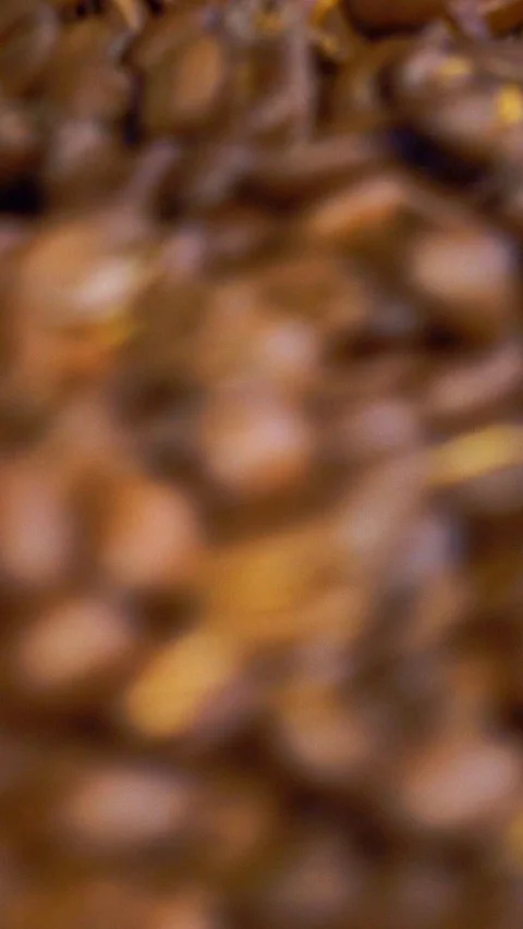 Vertical video for smartphone.making coffee. coffee house. Video stock 100163134