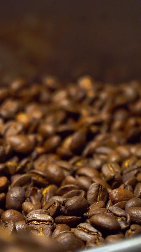 Vertical video for smartphone.making coffee. coffee house. Stock Footage 100163150