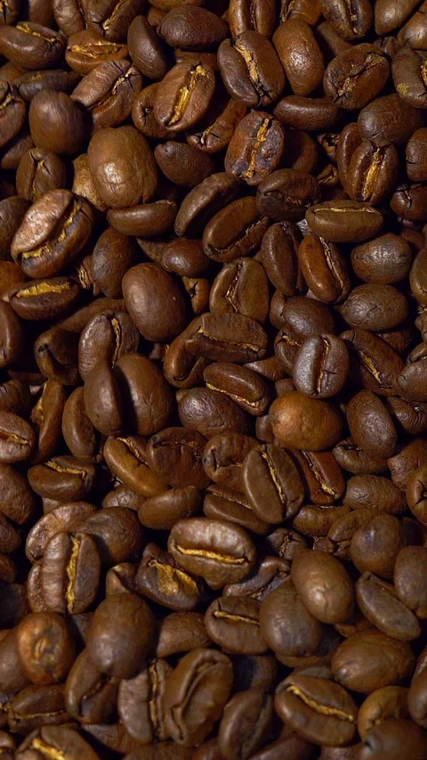 Vertical video for smartphone.making coffee. coffee house. Stock Footage 100163396