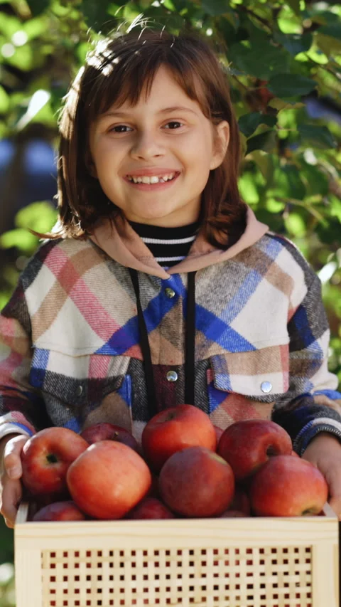 Vertical Video of smiling young child female girl holding a box full of apples Stock Footage 305382779