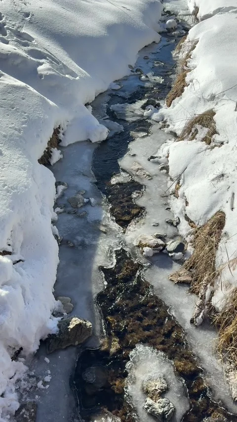 Vertical Video of Snowy Mountain Stream with Flowing Water Stock Footage 327311304
