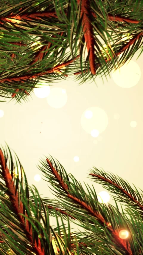 Vertical video: Soft breeze starting pine branch swaying and lights drifting Stock Footage 348567366
