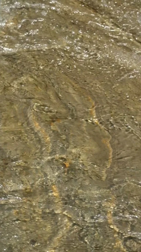 Vertical video of the soil layer at the bottom of a clear river Video stock 336877771