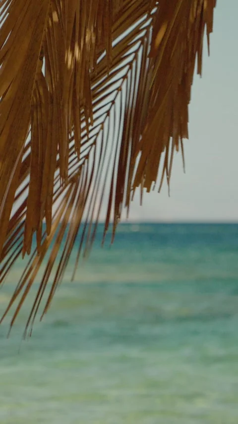 Vertical video Soothing waves at a beach resort in the Aegean Sea, Greece Stock Footage 303699042