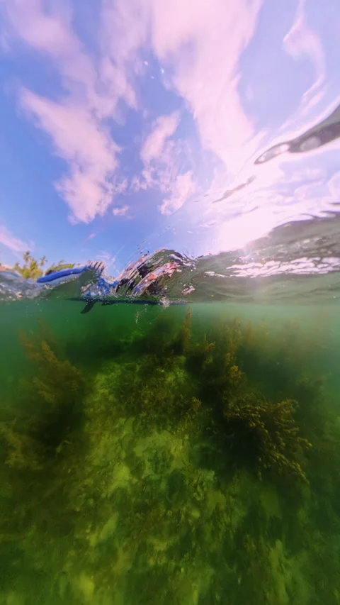 Vertical video. Split Level View Showing People Sitting On Paddle Board Above Wa Video stock 328595798