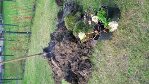 Vertical video of spring work in the garden in 4k slow motion 60fps Stock Footage 244828754