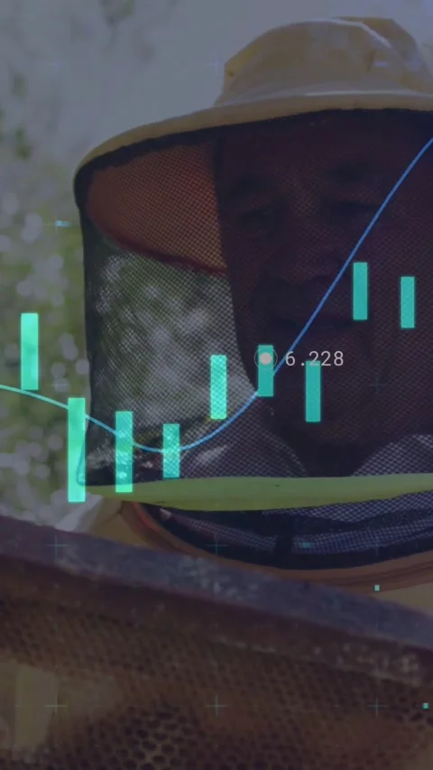 Vertical video: Sr beekeeper lifting frame and checking comb, apiary data Stock Footage 331167189
