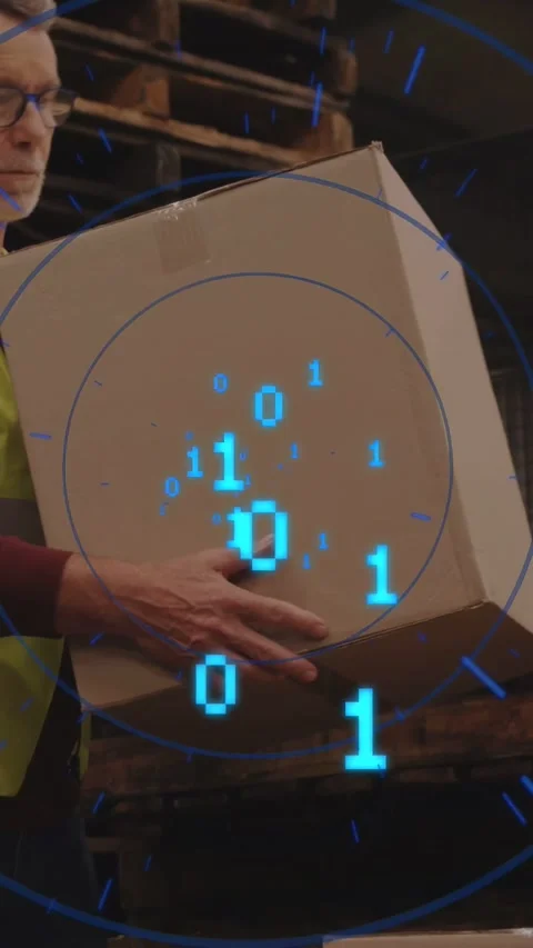 Vertical video: Sr warehouse worker gripping box placing on pallet blue binary Stock Footage 333006372