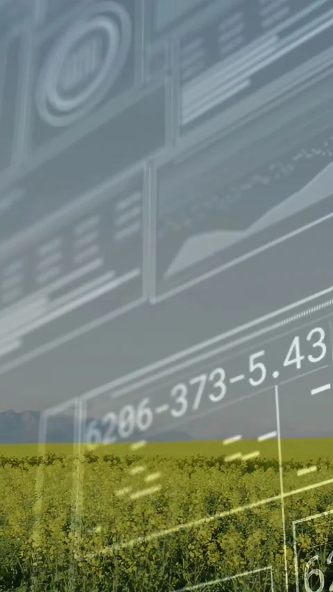 Vertical video: On start HUD panels sliding across sky above yellow field, Stock Footage 332687546
