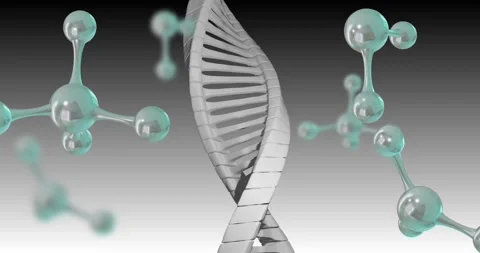 Vertical video: Starting silver DNA helix rotating, showing rungs at gradient, Stock Footage 331176128