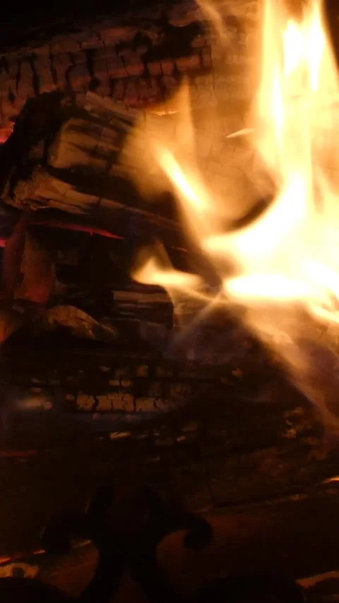 Vertical video static close up of fire burning wood inside fireplace Video stock 342131187