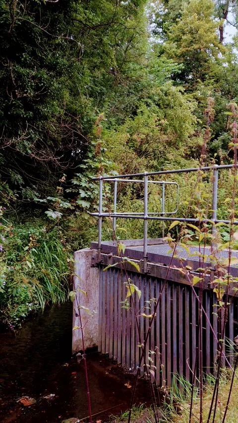 Vertical Video. Static shot of a metal platform near a stream. Stock Footage 160077102