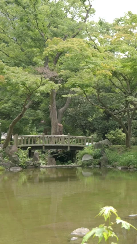 Vertical Video Stone Bridge Over Pond in Japanese Garden Stock Footage 339768691