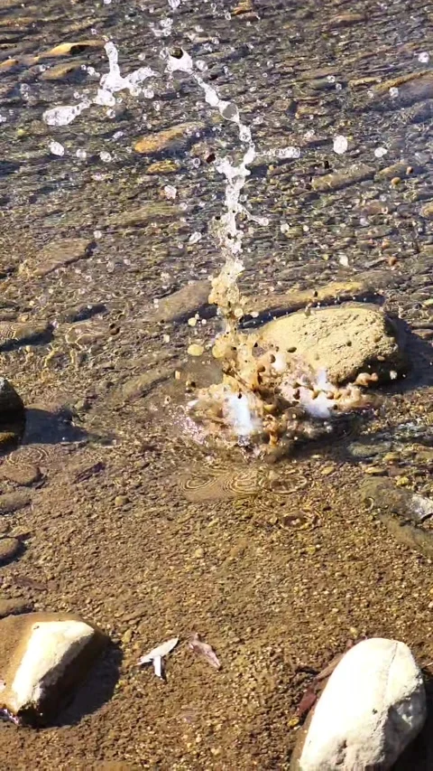 Vertical Video of a Stone Splashing into a Clear Stream Stock Footage 348245264