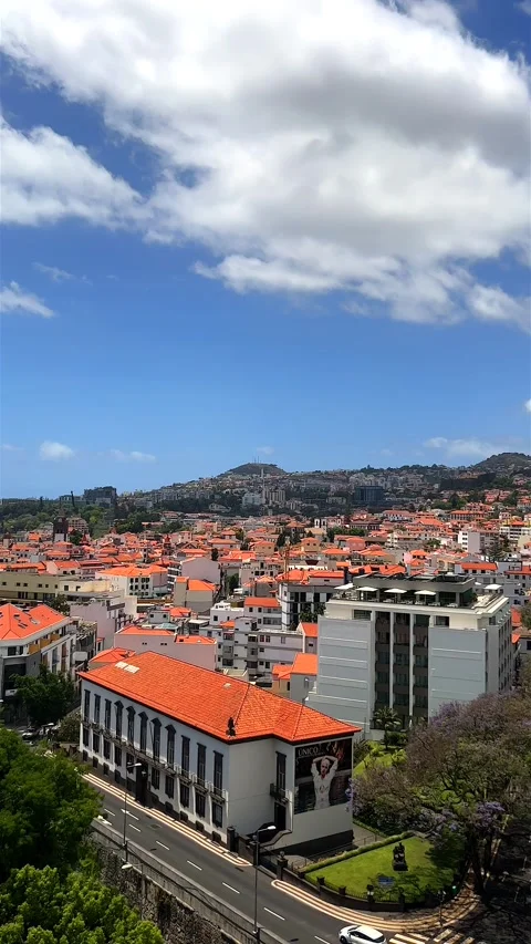 Vertical Video. Stories Format: Madeira Funchal cableway. View from cable car. Stock Footage 248996352