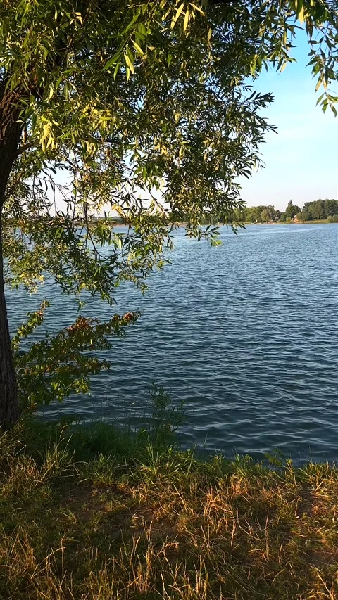 Vertical video. Stories format: Olesna lake in Czechia during sunset Stock Footage 249050014