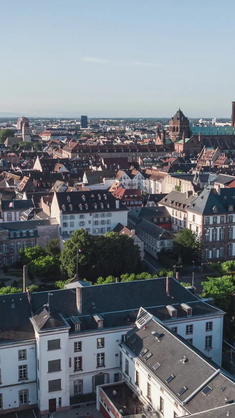 Vertical Video of Strasbourg, Bas-Rhin, France, Vertical Aerial View Shot Video stock 311101065