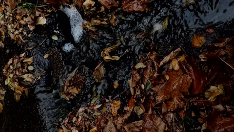 Vertical video of a stream after the rain in autumn. Stock Footage 142471989