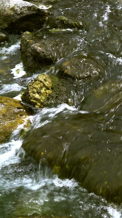Vertical video, Stream flows among stones Video stock 295367148