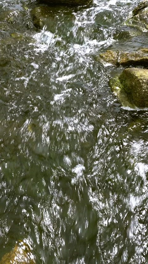 Vertical video, Stream flows among stones Stock-Footage 295367162
