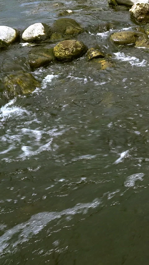 Vertical video, Stream flows among stones 库存影片 295370451