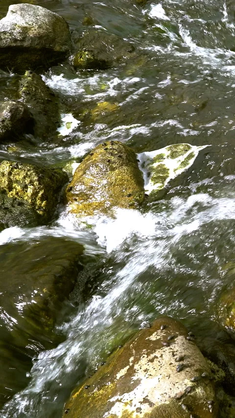 Vertical video, Stream flows among stones Видео 295370524