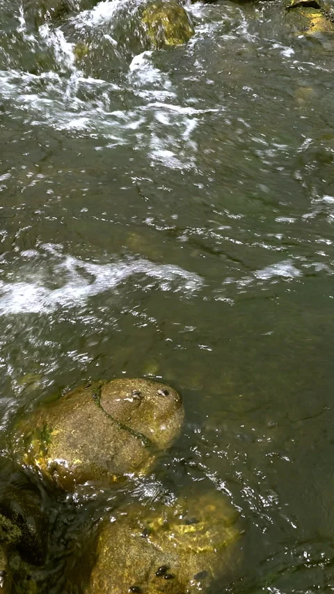 Vertical video, Stream flows among stones Vídeos de archivo 295370542