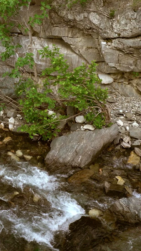 Vertical video, Stream flows among stones Stockbeeldmateriaal 295640552